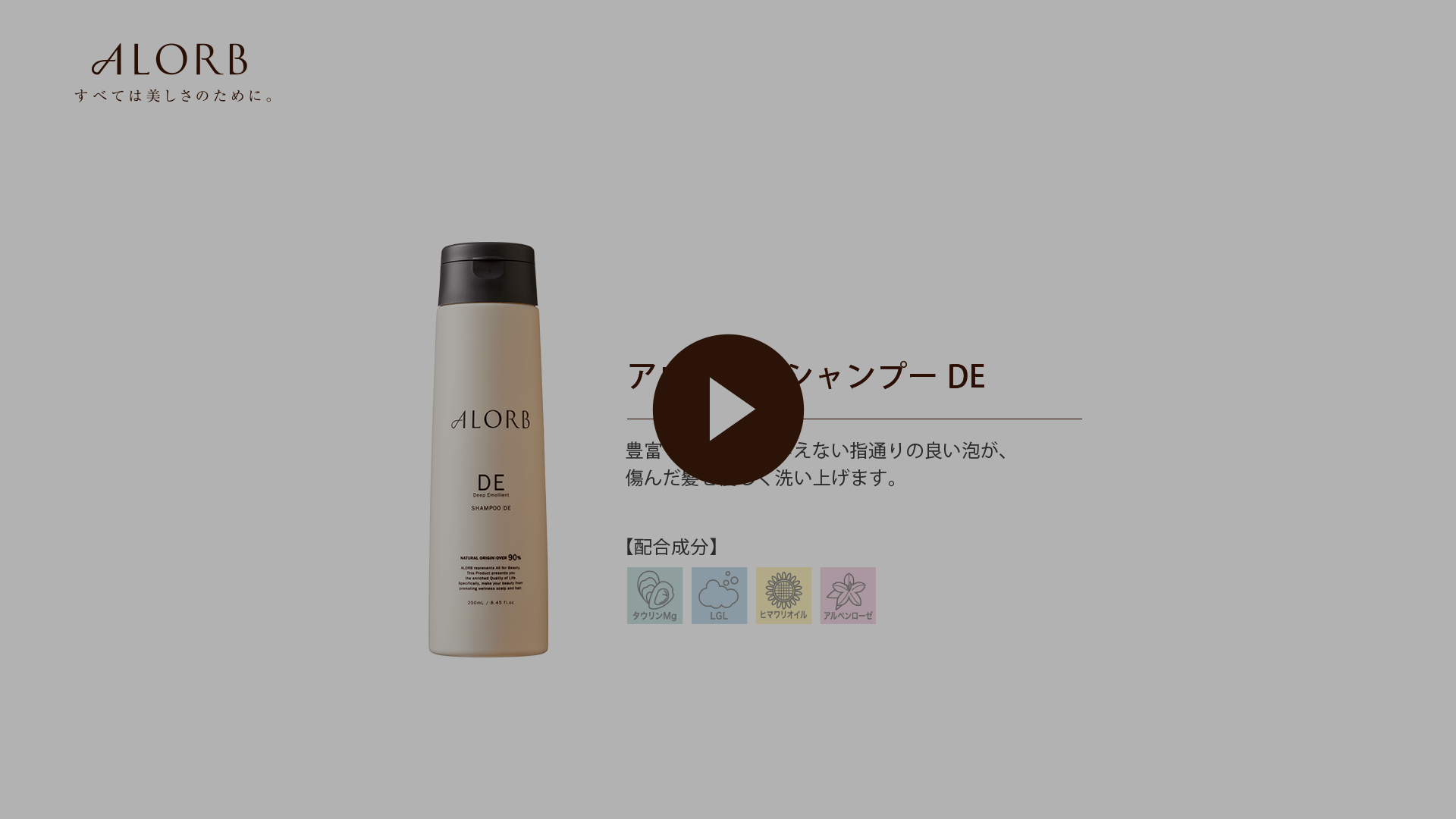HOW TO | ALORB