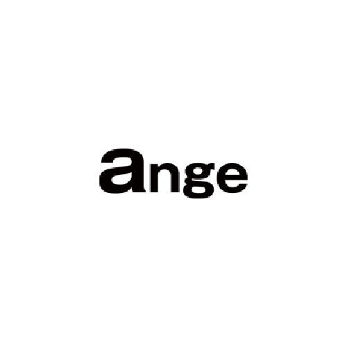 ange hair place